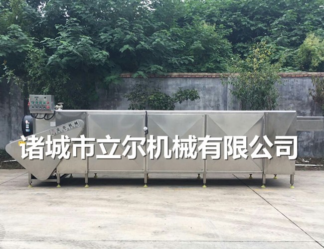 葡萄干干果類產品用烘干流水線